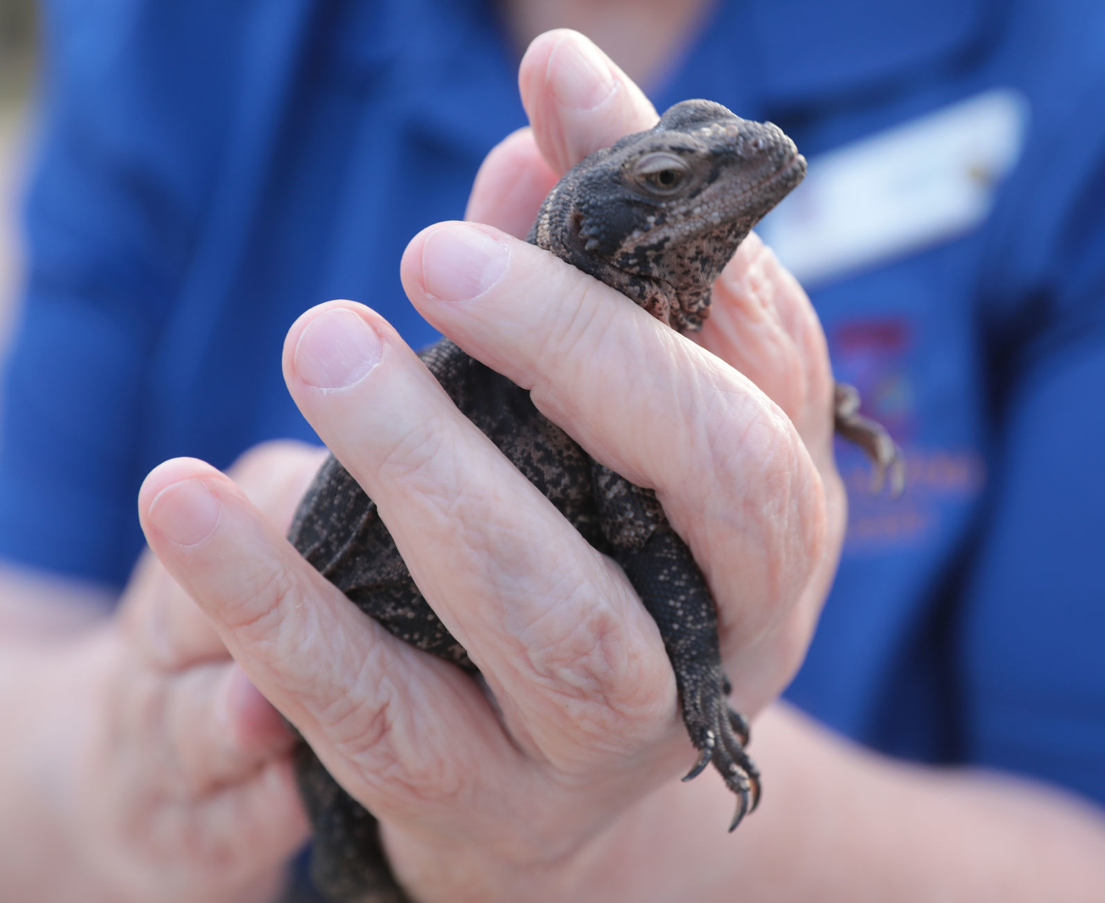 Conservation on Tap